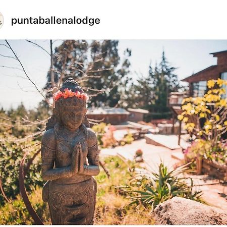 Punta Ballena Lodge Pichilemu Zewnętrze zdjęcie
