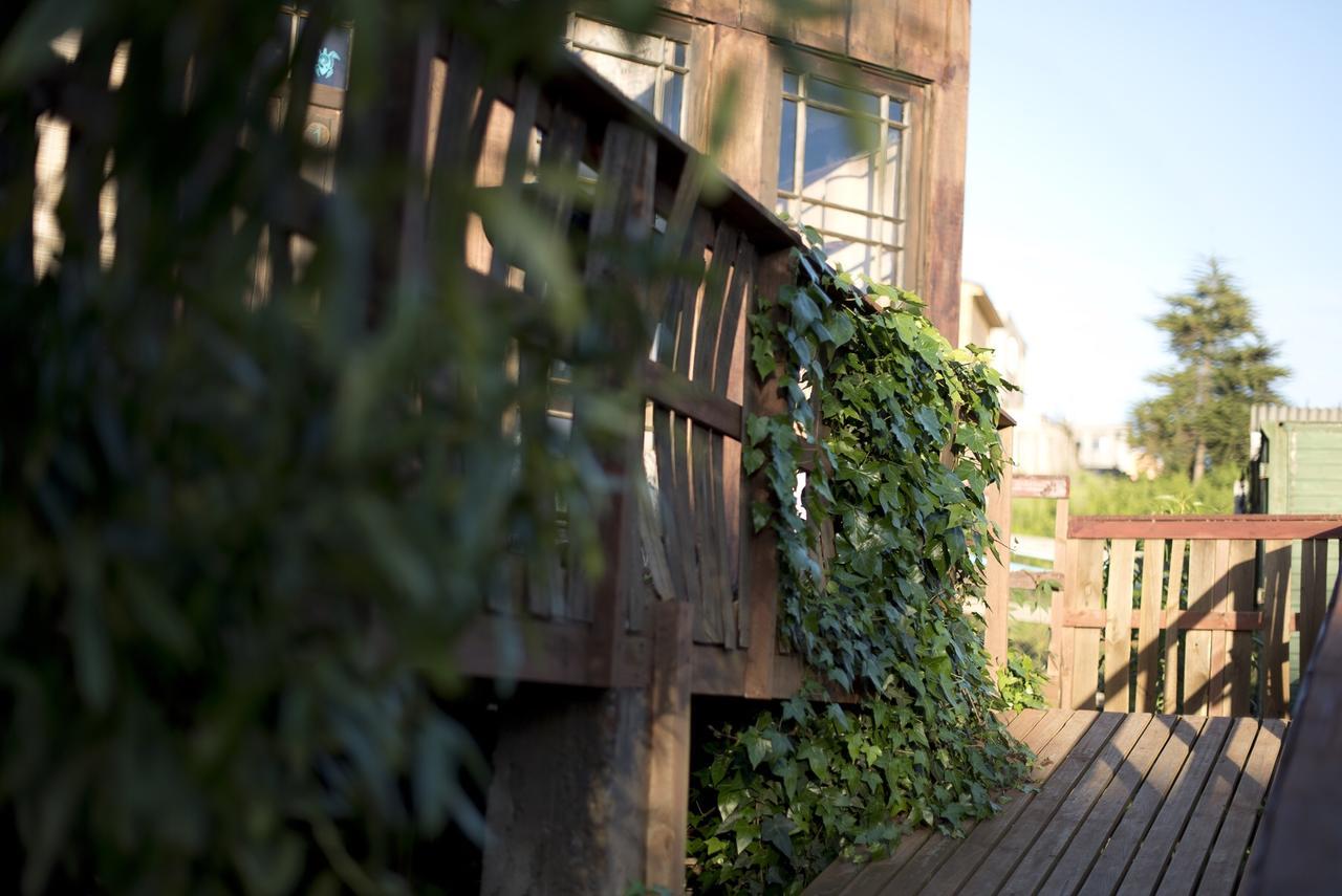 Punta Ballena Lodge Pichilemu Zewnętrze zdjęcie