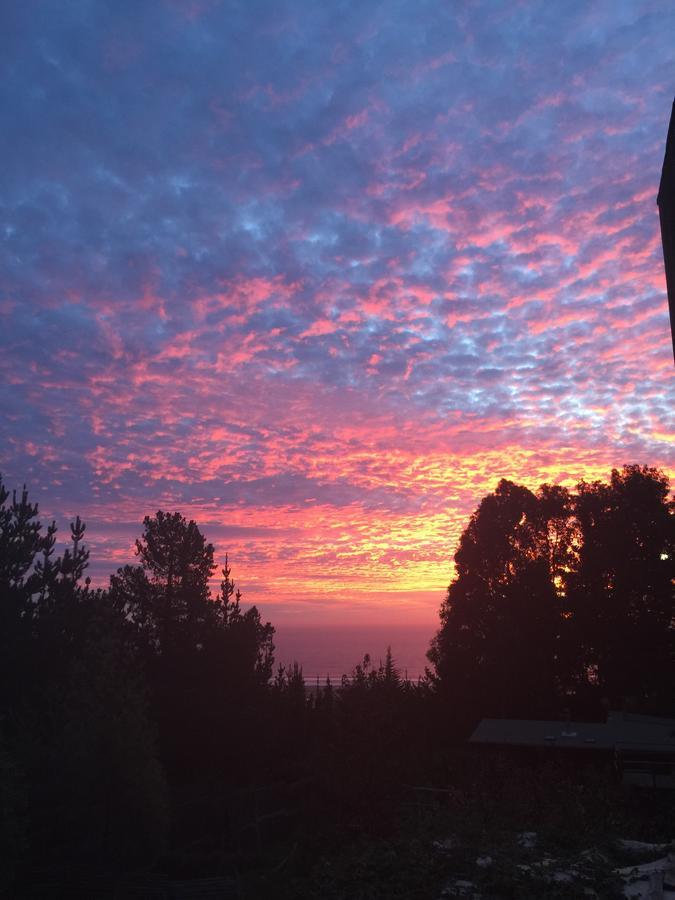 Punta Ballena Lodge Pichilemu Zewnętrze zdjęcie